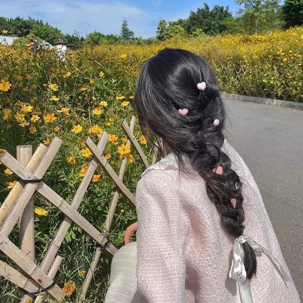 寻芳浪蝶 在线观看