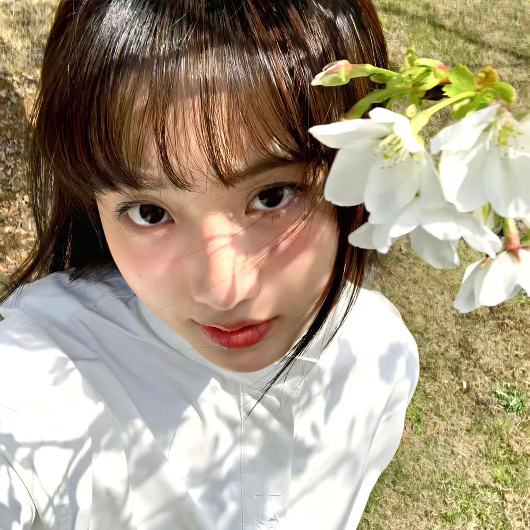 明宫词 在线观看
