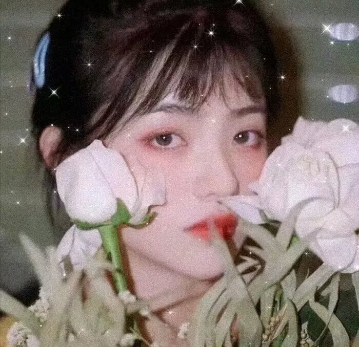 红楼二尤 在线观看